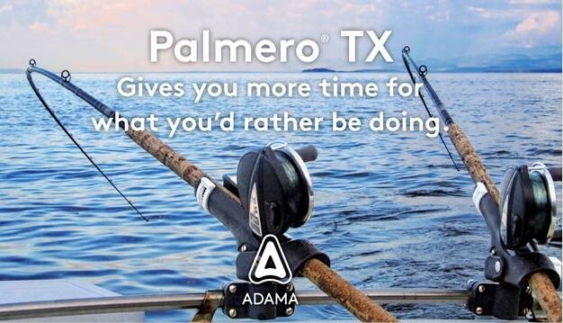 Palmero TX Ad Image.jpg
