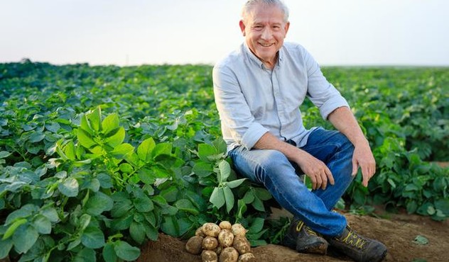 фермер и картофан