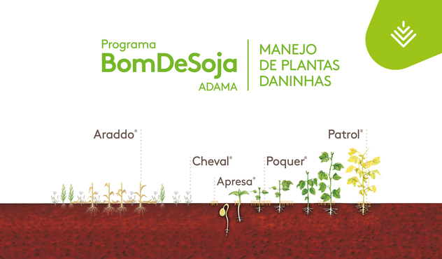 Ilustração com posicionamento dos herbicidas ADAMA na cultura da soja