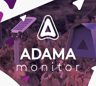 ADAMA Monitor