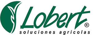 logo Lobert