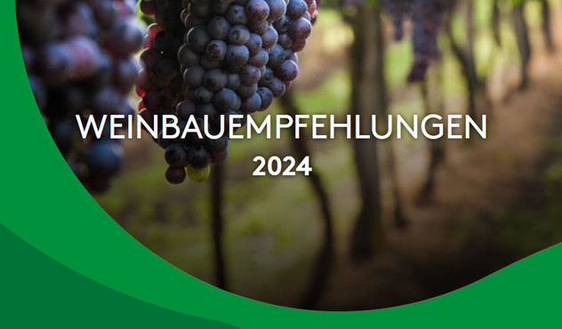 Weinbauempfehlungen 2024