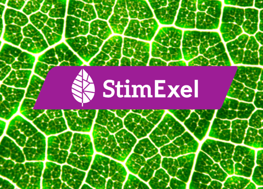 Stimexel