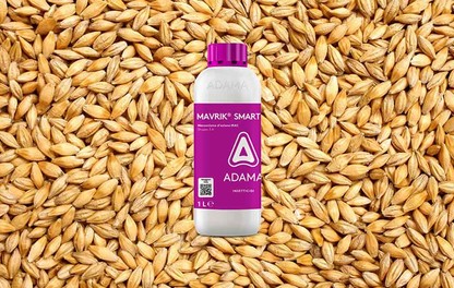 Mavrik-Smart cereali ADAMA