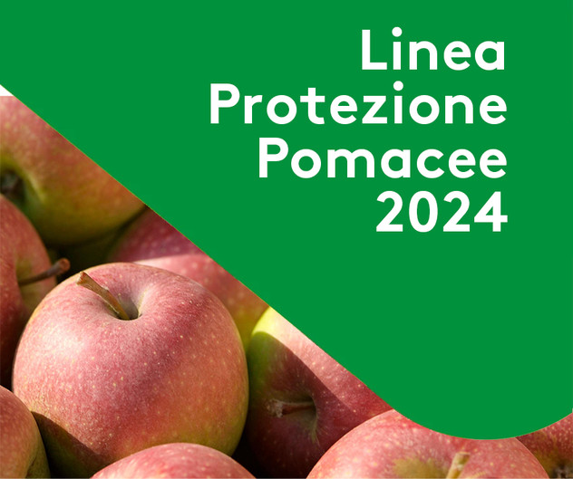 Cover Linea Protezione Pomacee Adama Italia 2024