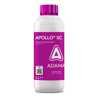 APOLLO-SC 1 L