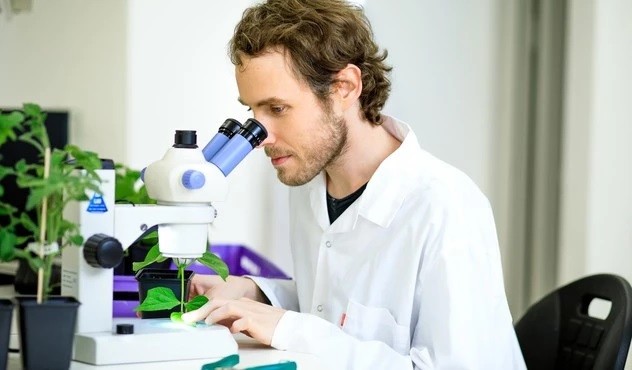 Scientist Looking through a Microscope 