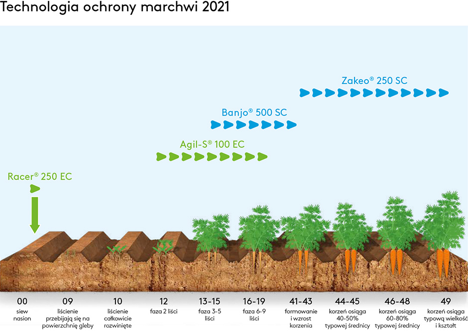 Technologia ochrony marchwi 2020