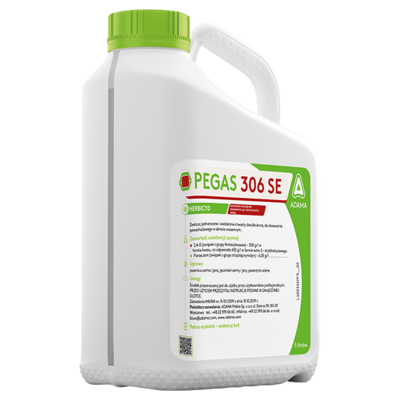 Pegas 306 S