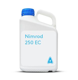 Nimrod-250-EC.jpg