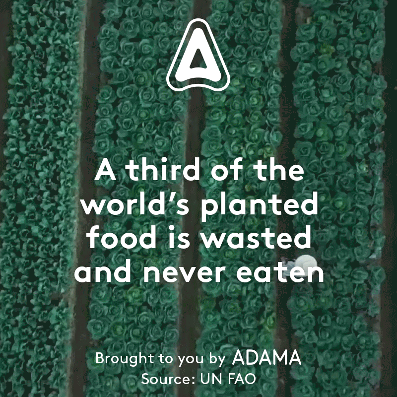 A third of the worlds food is wasted