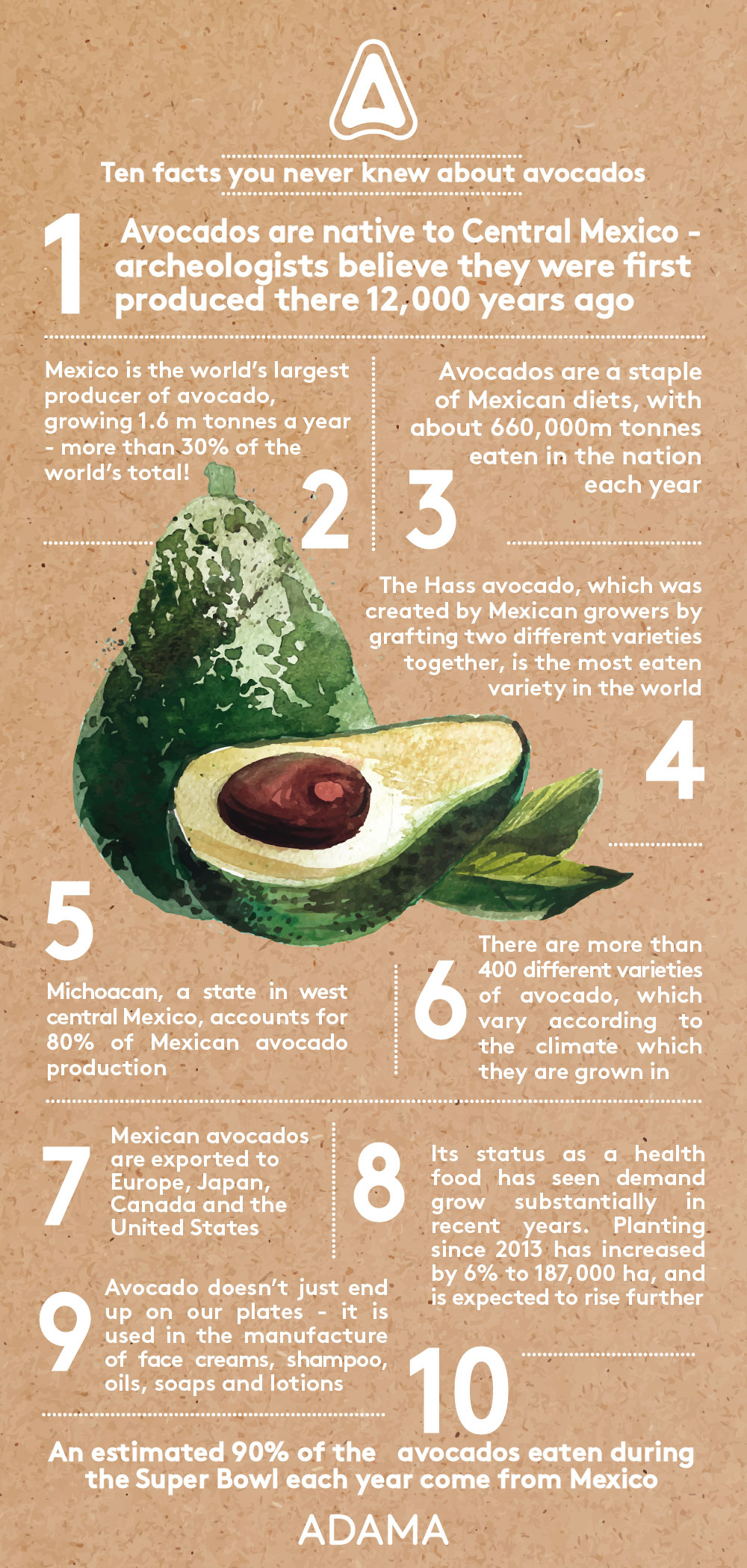 Ten Facts about Avocados