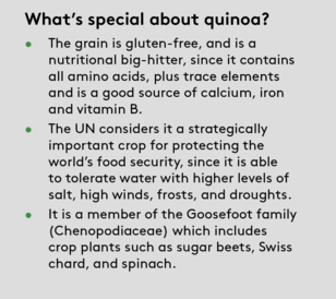 Quinoa Facts