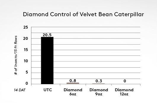 Diamond Soybean Chart 1