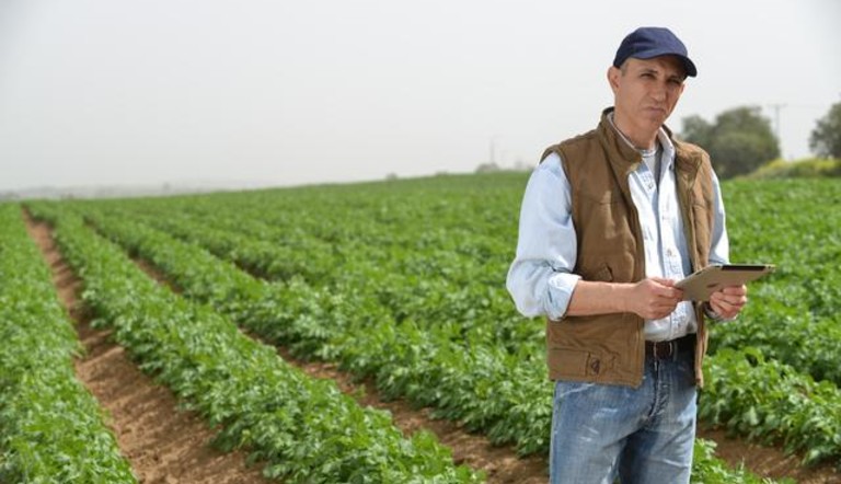 Nông nghiệp Công nghệ cao Israel