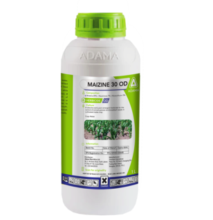 Maizine is a unique herbicide that controls wide range of weeds in Maize field