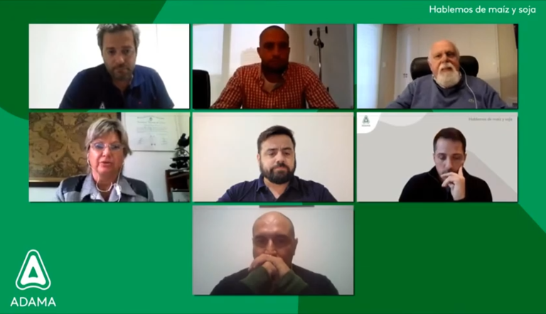 Webinar