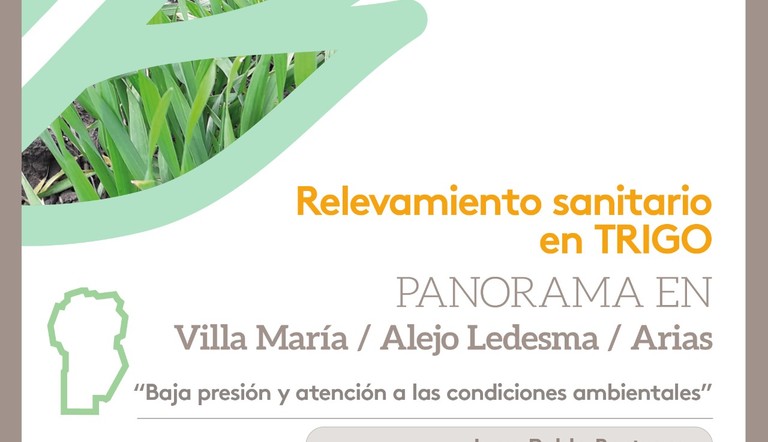 Relevamiento sanitario