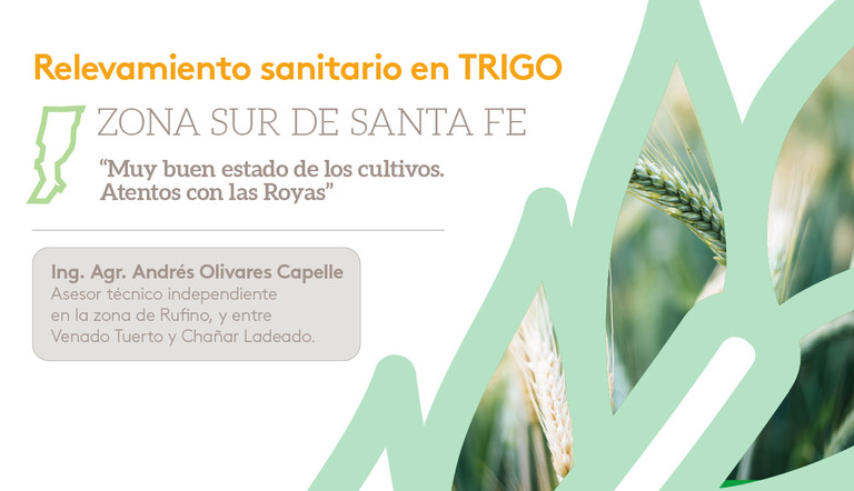 Relevamiento sanitario en zona sur de Santa Fe.