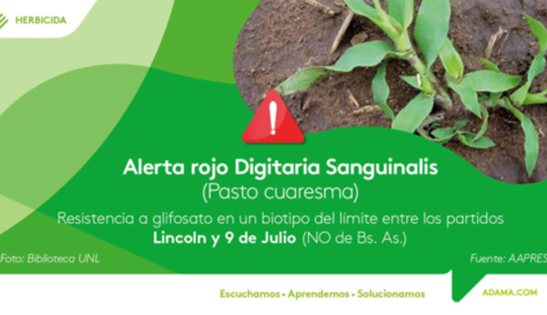 Alerta Digitaria