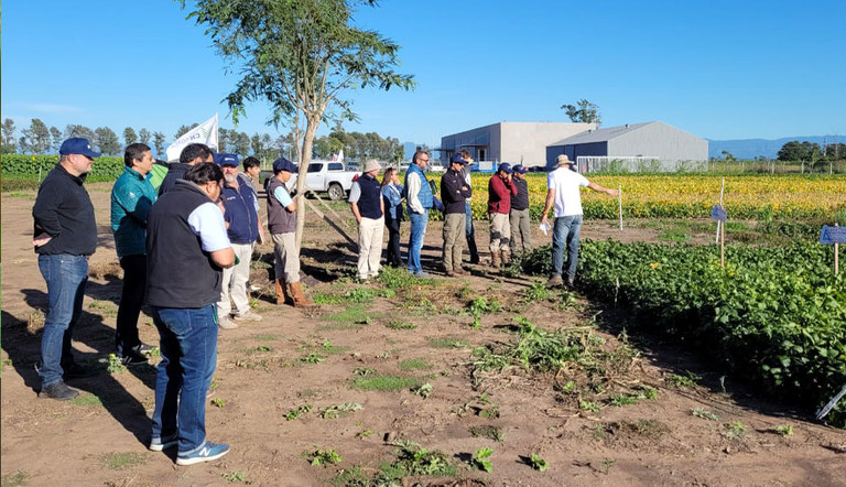 Jornada a campo en Las Lajitas