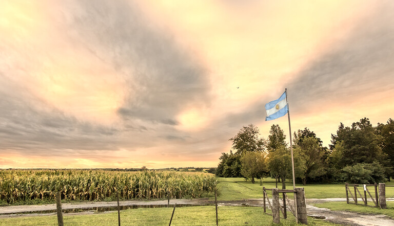 Campo argentino