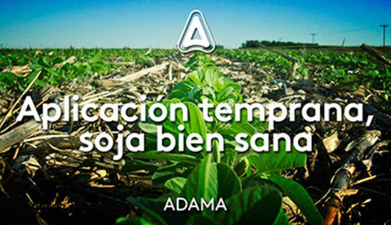 A proteger a la soja desde el inicio
