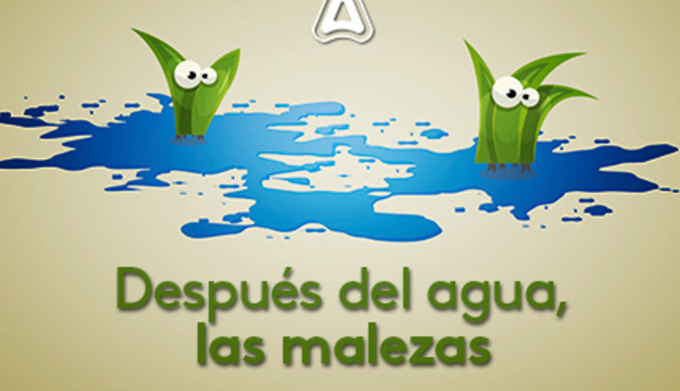 Después del agua, quedan las malezas