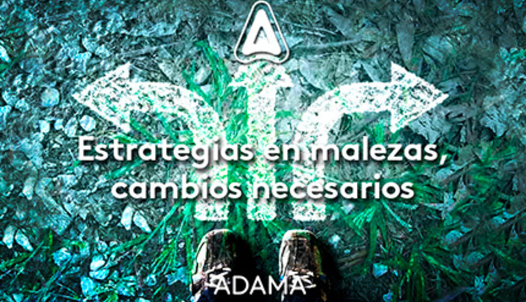 Estrategias en malezas, cambios necesarios