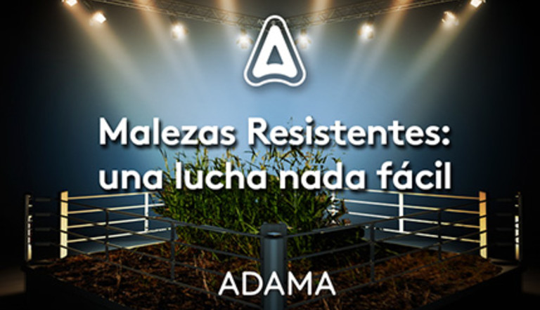Malezas resistentes una lucha nada facil