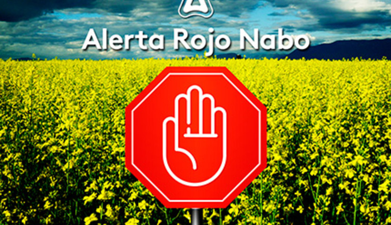 Un nuevo alerta cerrando caminos