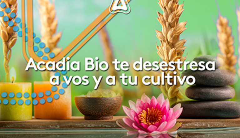 ACADIA BIO te desestreza