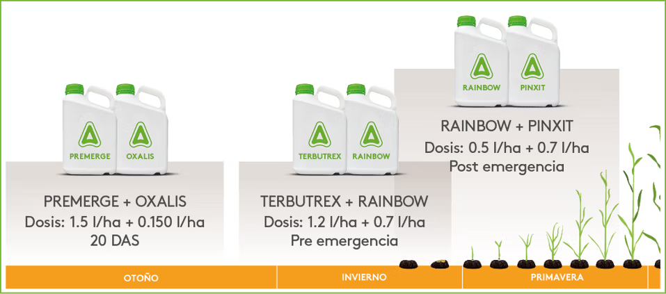 Terbutrex pos1