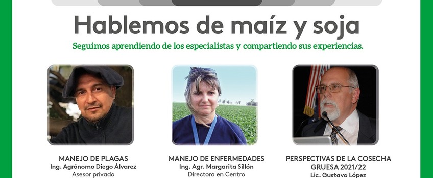 Hablemos de maiz y soja