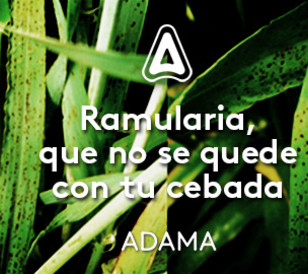 Ramularia, una amenaza para la cebada