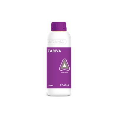 Zariva