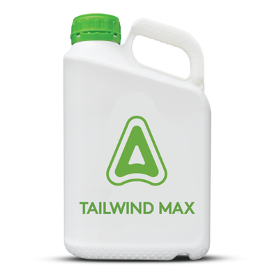 Tailwind max
