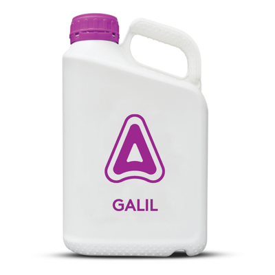 Galil