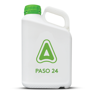 Paso 24