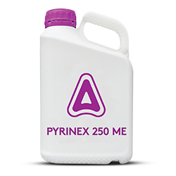 Pyrinex 250 ME