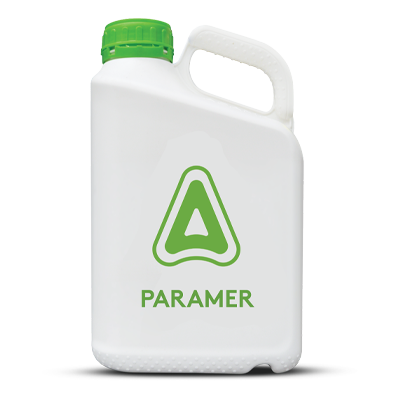 Paramer