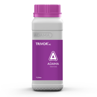 trivor