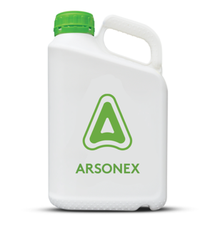 Arsonex