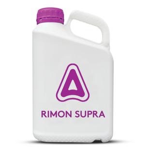 Rimon Supra