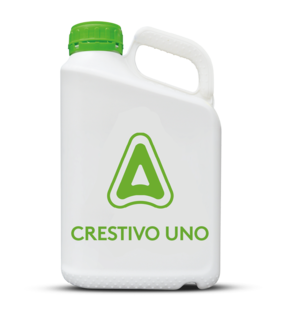 Crestivo Uno