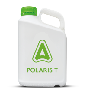 Polaris T