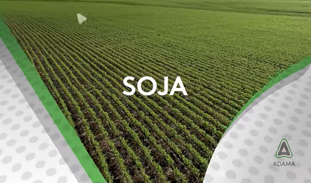 video soja thumb