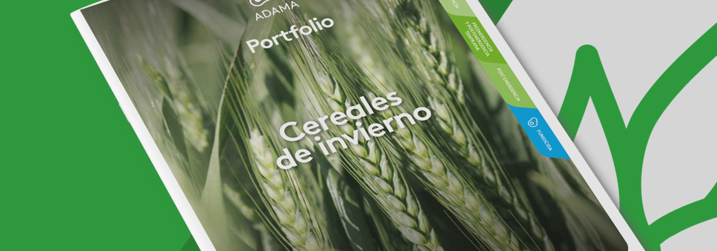 Banner trigo