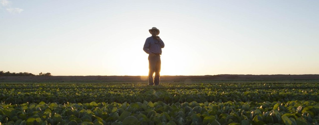Farmer in the field