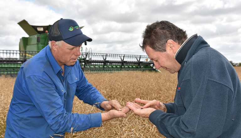 Katamatite grower Jarrod Lukies and James Murray,